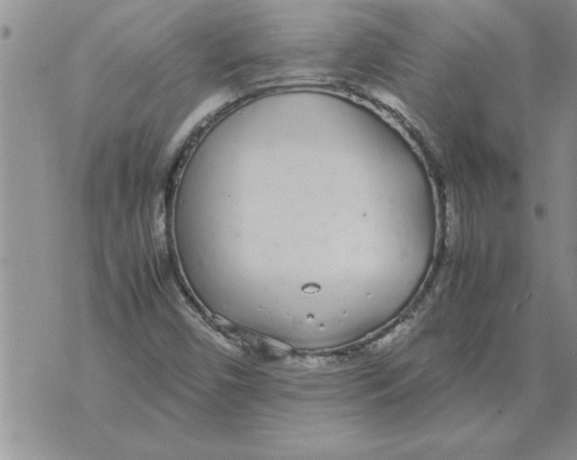 X0000071831450200607290030