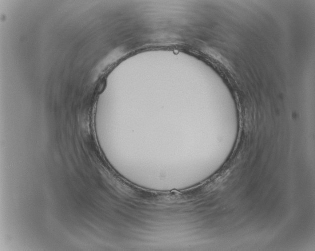 X0000071831451200607290030