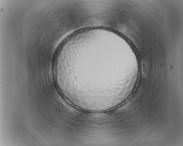 X0000071831452200607290030