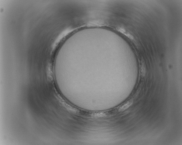 X0000071831454200607290030