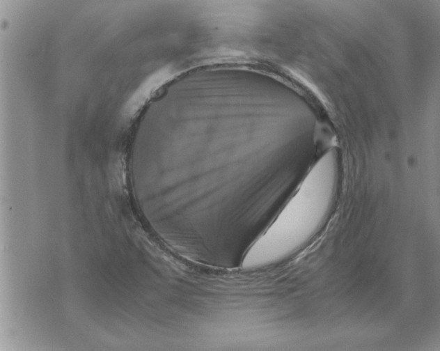 X0000071831455200607290030