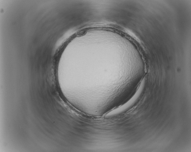 X0000071831456200607290030