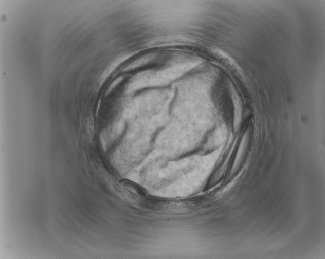 X0000071831457200607290030