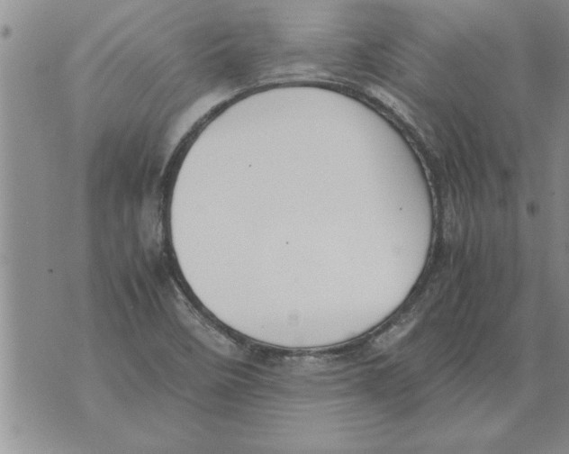 X0000071831458200607290030