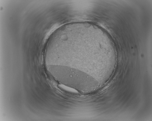 X0000071831459200607290030