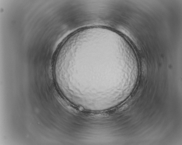 X0000071831460200607290030