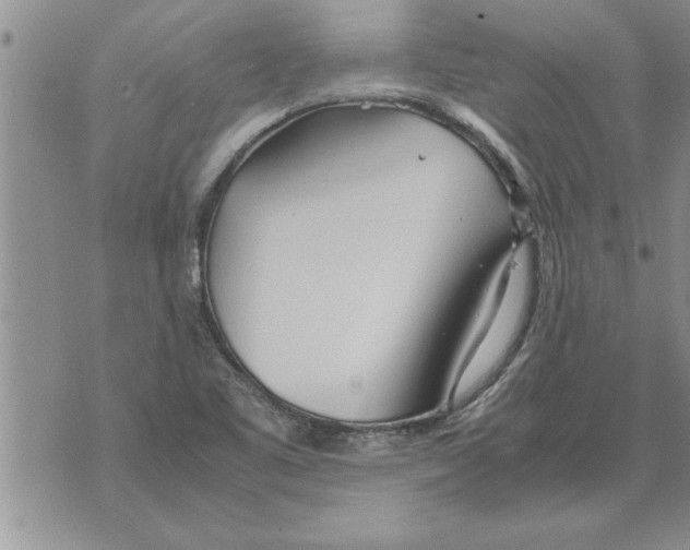 X0000071831461200607290030