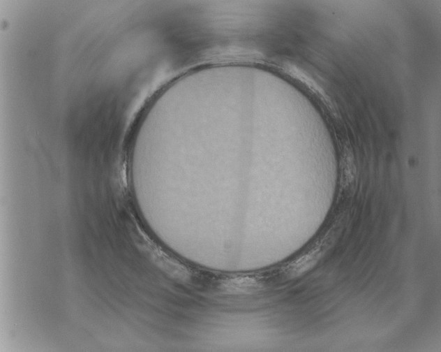 X0000071831462200607290030