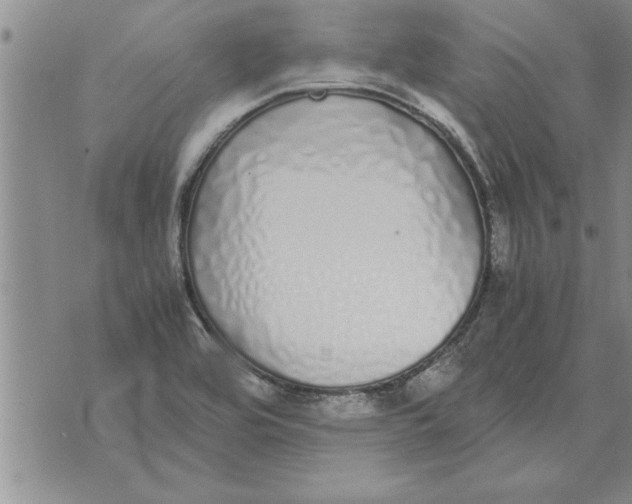 X0000071831464200607290030