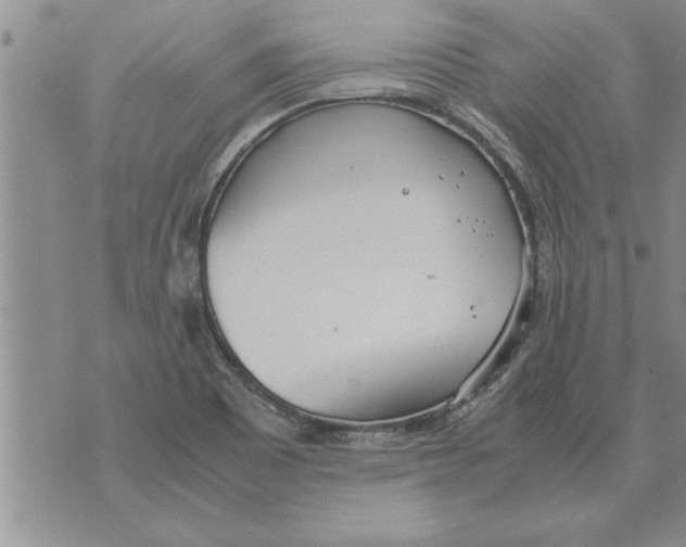 X0000071831465200607290030