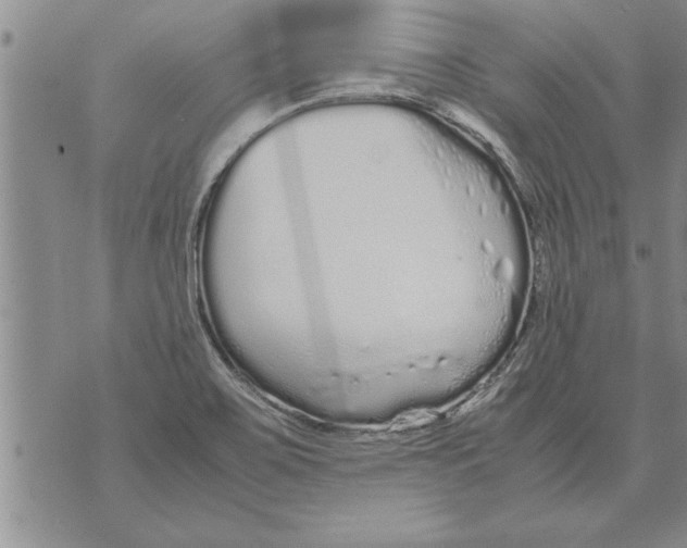 X0000071831467200607290030