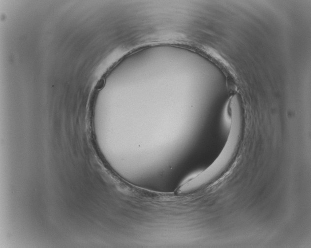 X0000071831469200607290030