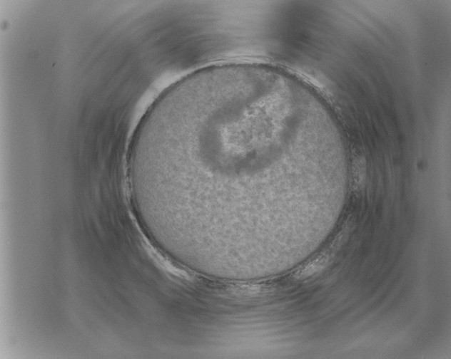 X0000071831470200607290030