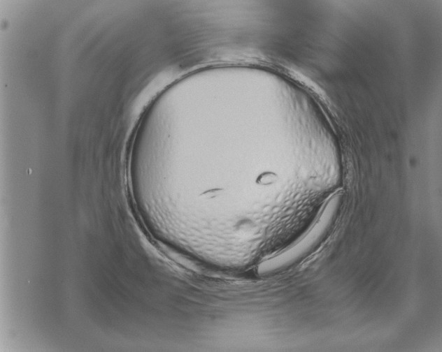 X0000071831471200607290030