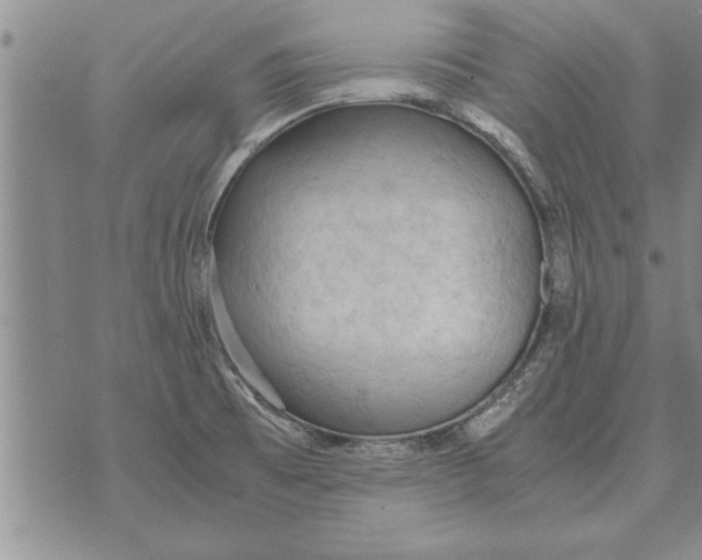 X0000071831473200607290030