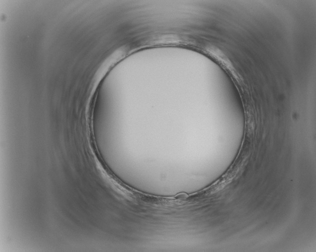 X0000071831475200607290030