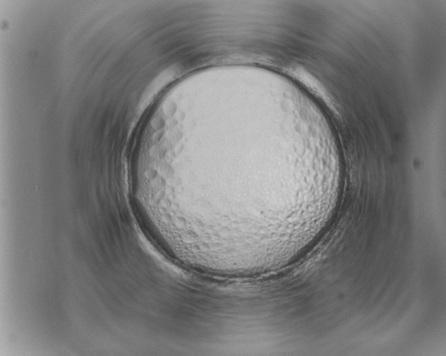 X0000071831476200607290030