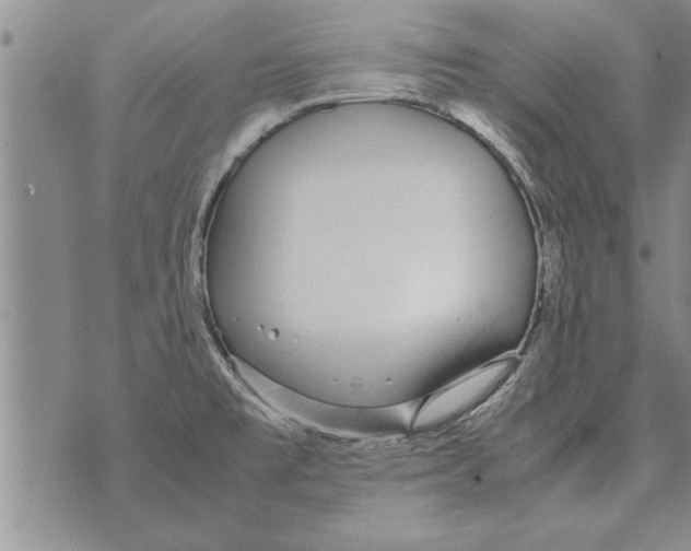 X0000071831477200607290030