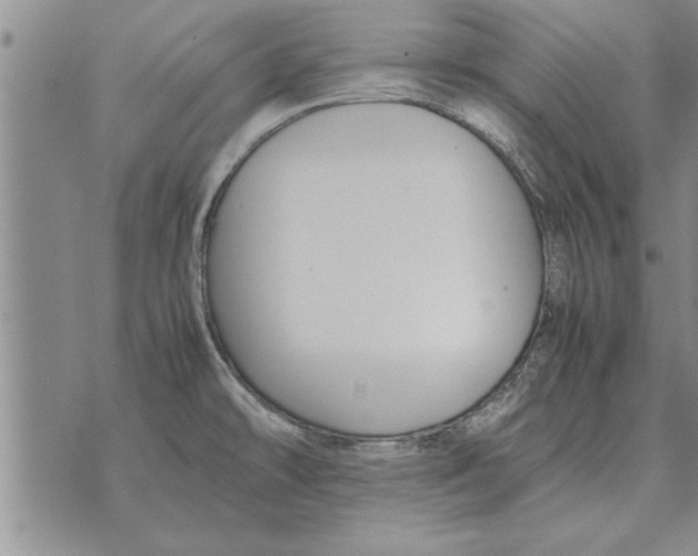 X0000071831478200607290030