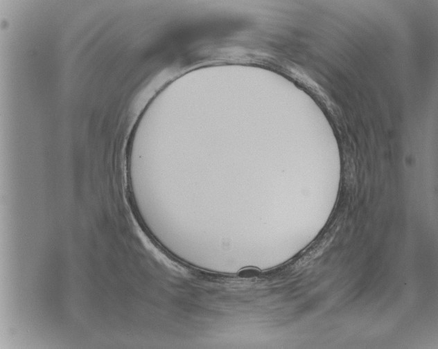 X0000071831479200607290030