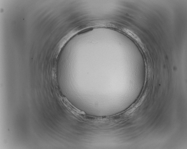 X0000071831481200607290030