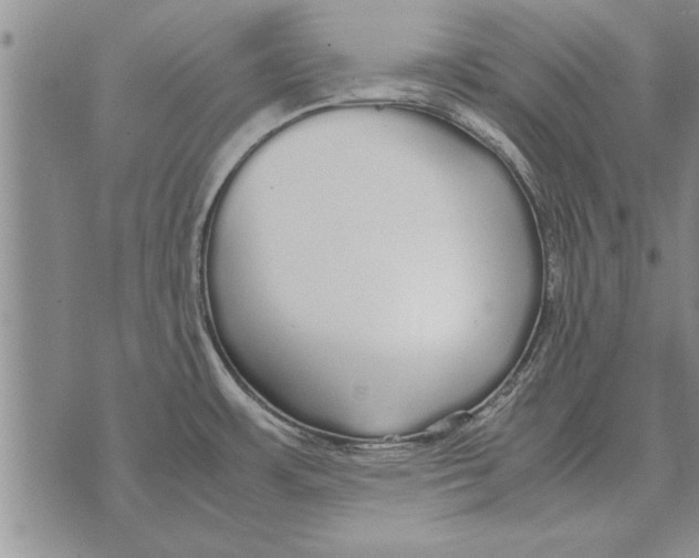 X0000071831483200607290030