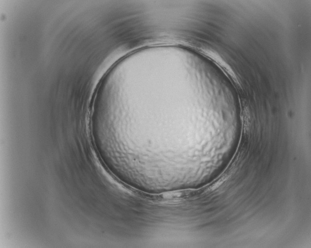 X0000071831484200607290030