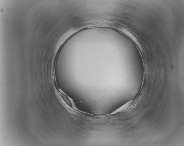 X0000071831485200607290030