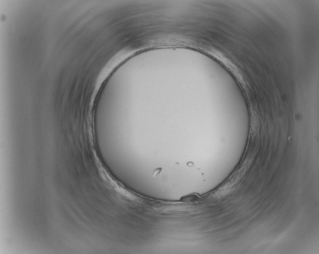 X0000071831486200607290030