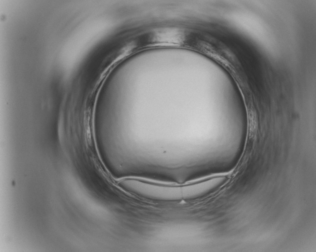 X0000071831487200607290030