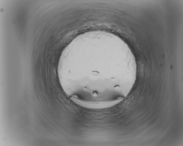 X0000071831489200607290029