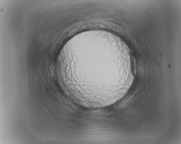 X0000071831490200607290029