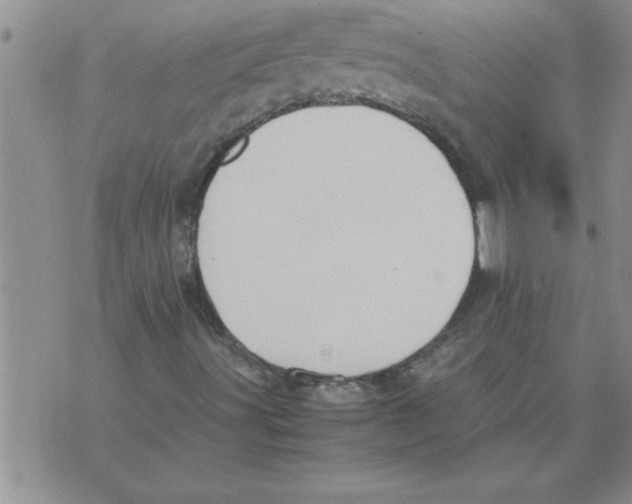 X0000071831491200607290029