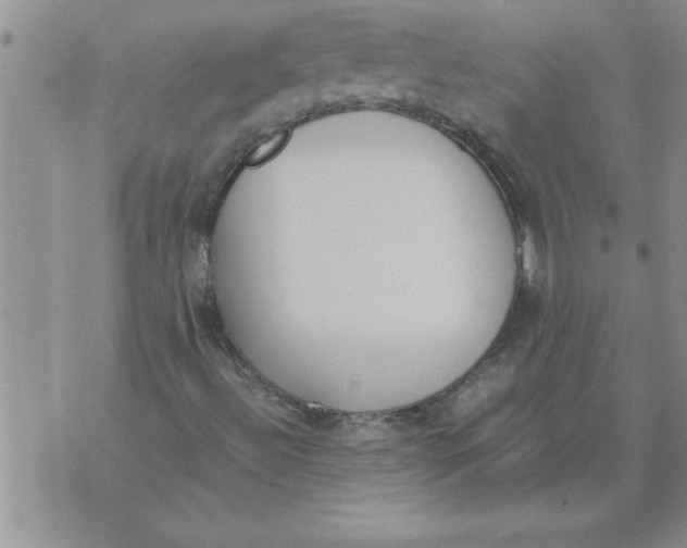 X0000071831492200607290029