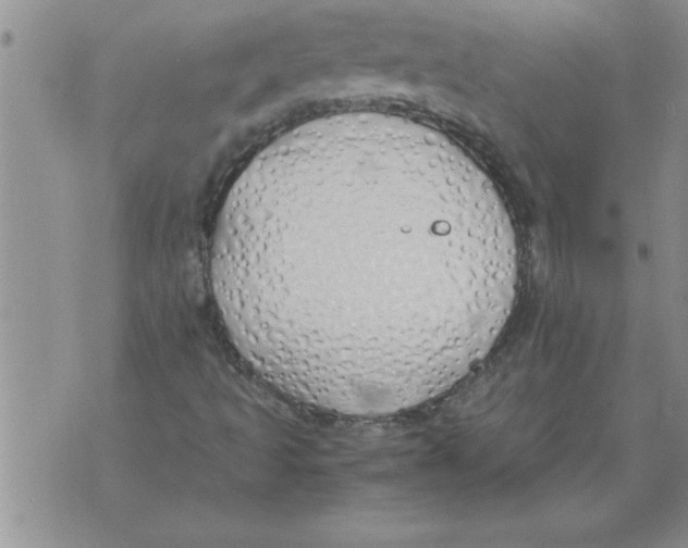 X0000071831493200607290029