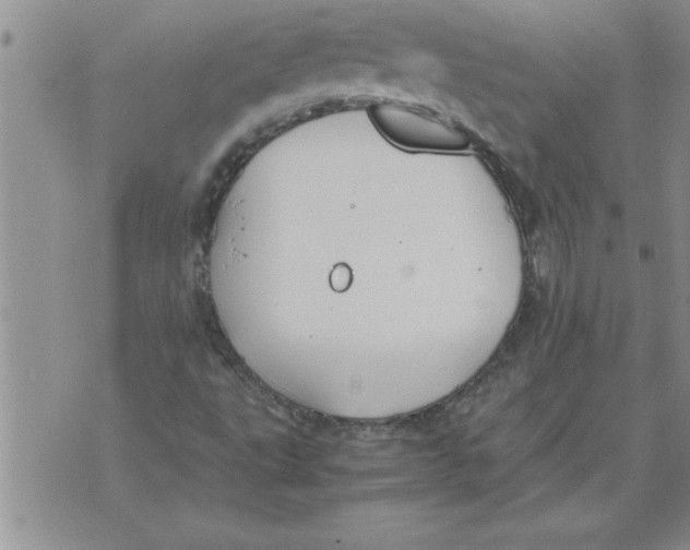 X0000071831495200607290029