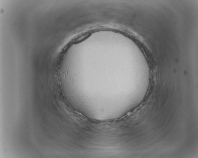 X0000071831496200607290029