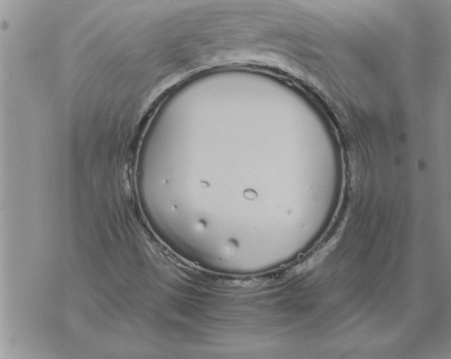 X0000071831497200607290029