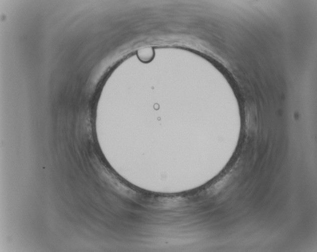 X0000071831498200607290029