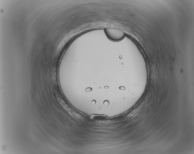 X0000071831499200607290029