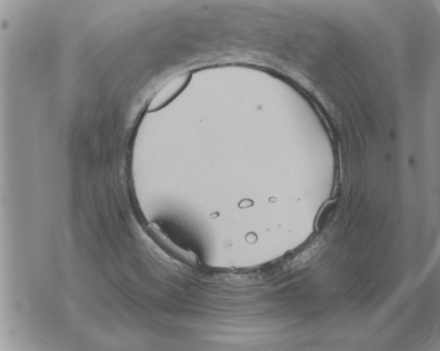 X0000071831500200607290029