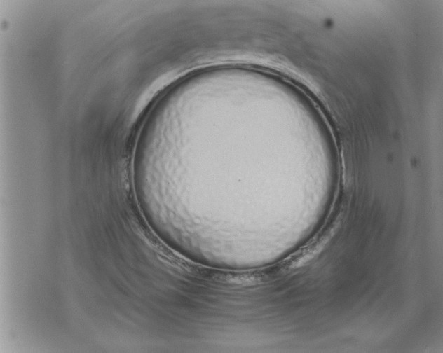 X0000071831501200607290029