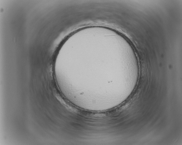 X0000071831503200607290029