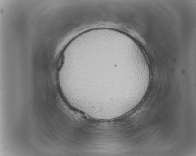 X0000071831504200607290029