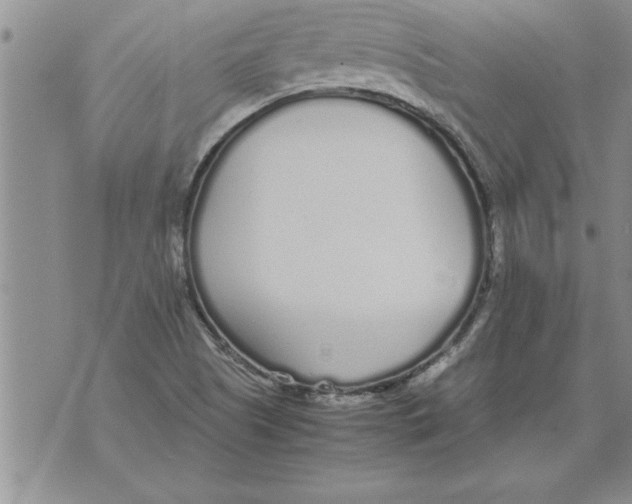 X0000071831505200607290029