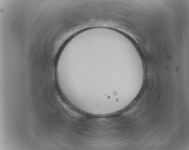 X0000071831507200607290029