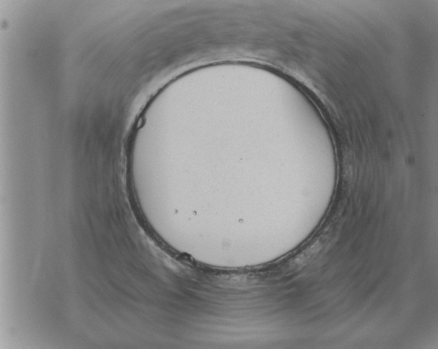 X0000071831508200607290029