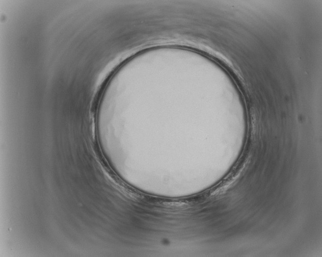 X0000071831509200607290029