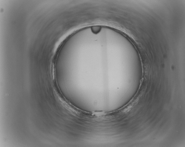 X0000071831510200607290029