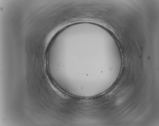 X0000071831511200607290029